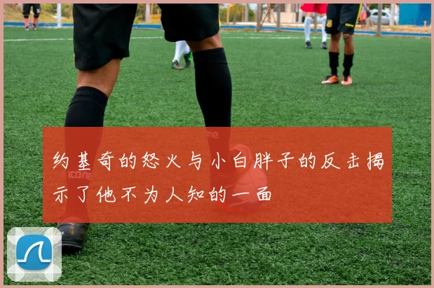 约基奇的怒火与小白胖子的反击揭示了他不为人知的一面
