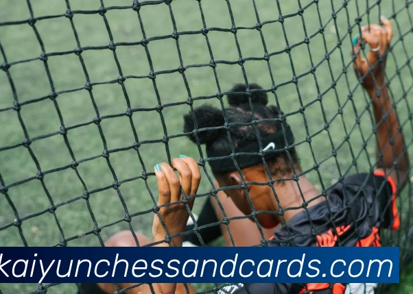 开云棋牌官网发展历程